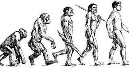 《物種起源》作者是誰物種起源內(nèi)容觀后感歷史影響介紹