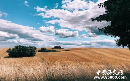 2019蘋果攝影大賽公布蘋果攝影大賽發(fā)展歷史報名標(biāo)準(zhǔn)簡介