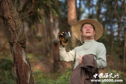 《四個春天》劇情簡介上映時間評價怎么樣？