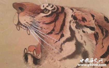 屬虎的人2019年運(yùn)勢(shì)怎么樣屬虎的幸運(yùn)物是什么