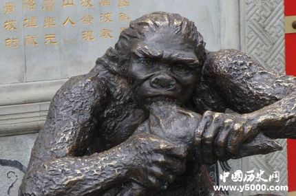 巫山人和元謀人是如何進化而來的？