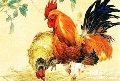 屬雞的人2019年運(yùn)勢(shì)怎么樣屬雞的幸運(yùn)物是什么 屬雞的人2019年運(yùn)勢(shì)怎么樣屬雞的幸運(yùn)物是什么