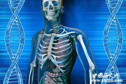 具有透視功能的女孩是誰為什么會有透視功能能看到什么