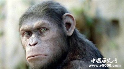 人類是如何形成的？形成人類的基礎(chǔ)條件有哪些？