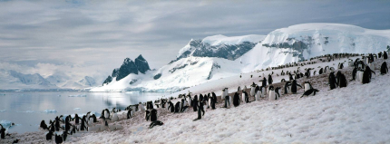 南極洲簡(jiǎn)介南極洲形成原因第一個(gè)到達(dá)南極的人是誰(shuí)？