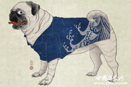 生肖狗是怎么來的屬狗的人有哪些性格特點 生肖狗是怎么來的屬狗的人有哪些性格特點