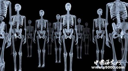 X射線是什么 X射線有什么作用 X射線拍攝圖片效果