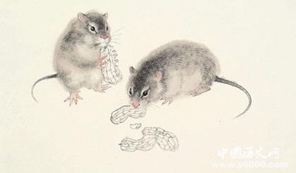 屬鼠的人2019年運勢怎么樣屬鼠的幸運物是什么