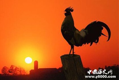 屬雞的人2019年運(yùn)勢怎么樣屬雞的幸運(yùn)物是什么 屬雞的人2019年運(yùn)勢怎么樣屬雞的幸運(yùn)物是什么