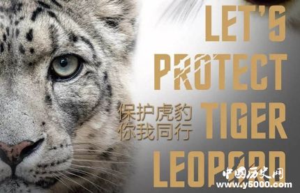 世界野生動植物日簡介世界野生動植物日主題活動有哪些？