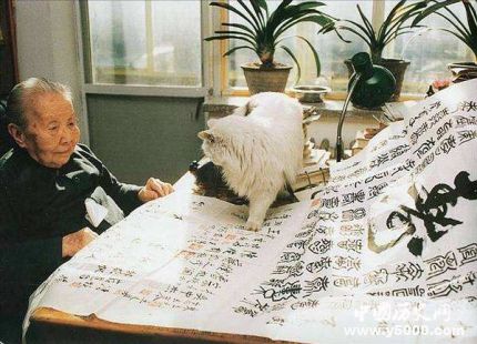 冰心簡介冰心的作品冰心的原名叫什么？