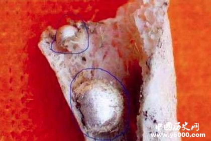 中國(guó)供奉佛骨舍利的歷史發(fā)展 佛骨舍利分布