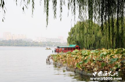 楊柳的寓意和意象柳樹為什么被稱作楊柳？