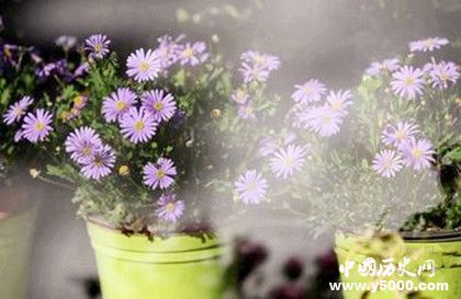 2019北京迎春年宵花展開幕時間地點(diǎn)花卉品種售價多少 2019北京迎春年宵花展開幕時間地點(diǎn)花卉品種售價多少