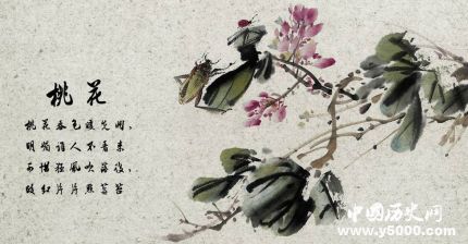 桃花的寓意和象征關(guān)于桃花的詩(shī)詞有哪些？