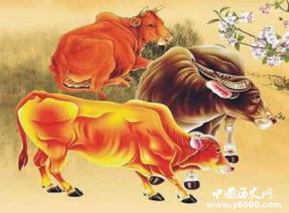 4a38939901fbd5c0d73bec6d0277666d.jpg 4a38939901fbd5c0d73bec6d0277666d.jpg