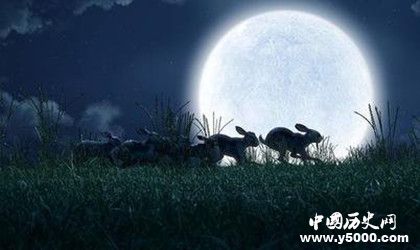 英劇《兔子共和國》劇情內(nèi)容介紹主題曲叫什么原著內(nèi)容介紹