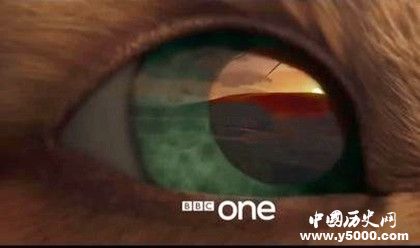 英劇《兔子共和國》劇情內容介紹主題曲叫什么原著內容介紹