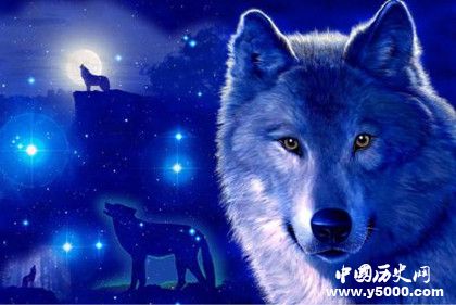 被野獸養(yǎng)大的孩子是怎樣的為什么野獸會收養(yǎng)孩子 被野獸養(yǎng)大的孩子是怎樣的為什么野獸會收養(yǎng)孩子