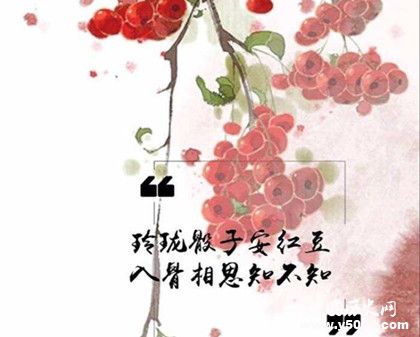 歐陽修《長(zhǎng)相思》原文鑒賞作品翻譯作品賞析創(chuàng)作背景介紹