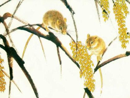 518672d45a5b6e1e8210d05c70e270dd.jpg 518672d45a5b6e1e8210d05c70e270dd.jpg