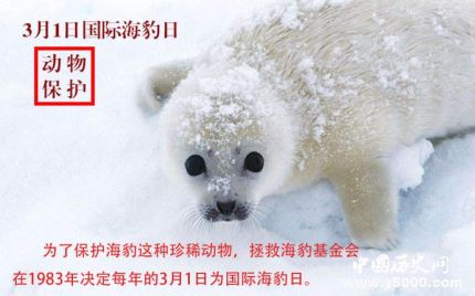 國(guó)際海豹日簡(jiǎn)介國(guó)際海豹日主題國(guó)際海豹日的活動(dòng)有哪些？
