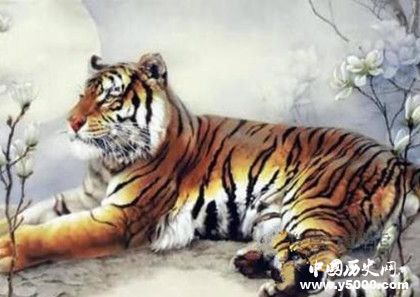 生肖虎簡介生肖虎是怎么來的生肖虎的性格特點(diǎn)