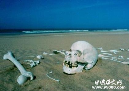 納米比亞骷髏海岸資料介紹 骷髏海岸形成原因
