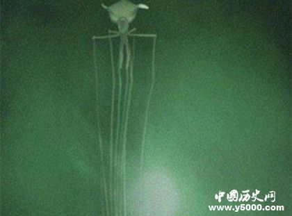 海洋深處有什么生物海洋深處是什么樣子 海洋深處有什么生物海洋深處是什么樣子