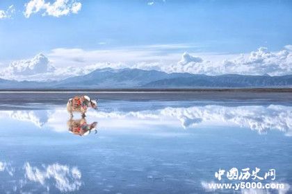 青海湖基本信息介紹 青海湖旅游景點(diǎn)介紹