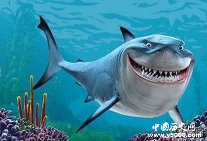 鯊魚抗癌之謎：鯊魚為什么不會(huì)得癌癥