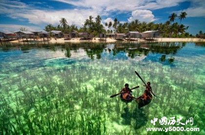 馬尾藻海地理位置 馬尾藻海形成原因資料介紹