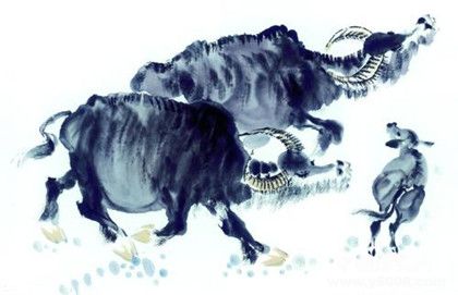 2018年屬牛的人運勢怎么樣屬牛的人和什么屬相的人最配