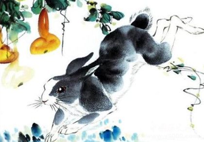 屬兔的人在2019年運勢怎么樣屬兔的人幸運物是什么