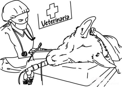 獸醫(yī)學(xué)家高國(guó)景生平經(jīng)歷高國(guó)景主要論著有哪些？