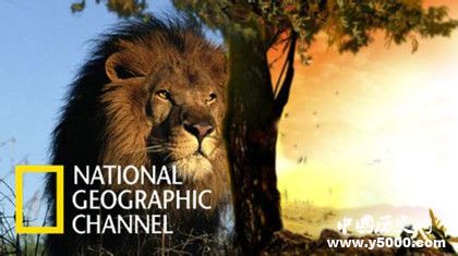 66cd46960dc42d8a0dfd4f10aebf4f2e.jpg 66cd46960dc42d8a0dfd4f10aebf4f2e.jpg