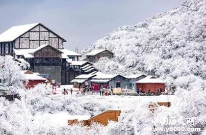 小雪腌菜大雪腌肉怎么腌制才好吃 小雪腌菜大雪腌肉怎么腌制才好吃