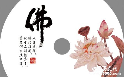 蓮花的寓意和象征蓮花為什么成為佛教的象征？