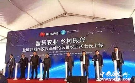 華為與袁隆平合作目的華為與袁隆平合作什么項(xiàng)目？