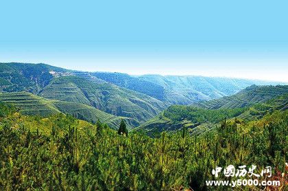 人工造林最多國(guó)家人工造林的特點(diǎn)和意義是什么