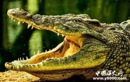 7d72db0d36645421d988d45d018c139f.jpg 7d72db0d36645421d988d45d018c139f.jpg