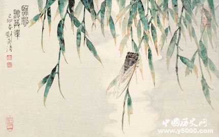 蟬的寓意和象征蟬的一生有什么啟示？