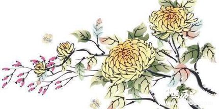 菊花為什么代表隱士菊花被叫花中隱士的原因 菊花為什么代表隱士菊花被叫花中隱士的原因