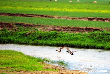內(nèi)蒙古高原怎么形成的海拔多高自然環(huán)境怎么樣