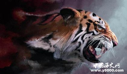 被野獸養(yǎng)大的孩子是怎樣的為什么野獸會(huì)收養(yǎng)孩子 被野獸養(yǎng)大的孩子是怎樣的為什么野獸會(huì)收養(yǎng)孩子