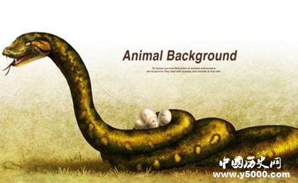 生肖蛇簡介生肖蛇是怎么來的屬蛇的人有哪些性格特點 生肖蛇簡介生肖蛇是怎么來的屬蛇的人有哪些性格特點