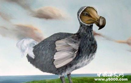 珊瑚裸尾鼠已滅絕全球十大滅絕的動(dòng)物有哪些？