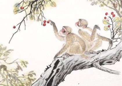 a3ab9771d10b8ce774dadd3d9a02ba04.jpg a3ab9771d10b8ce774dadd3d9a02ba04.jpg