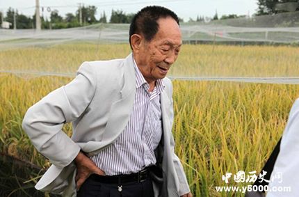 華為與袁隆平合作目的華為與袁隆平合作什么項(xiàng)目？