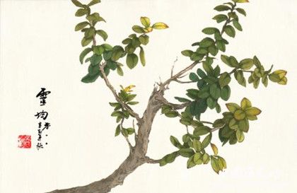 杜荀鶴著名代表作介紹杜荀鶴詩歌作品特點(diǎn)介紹